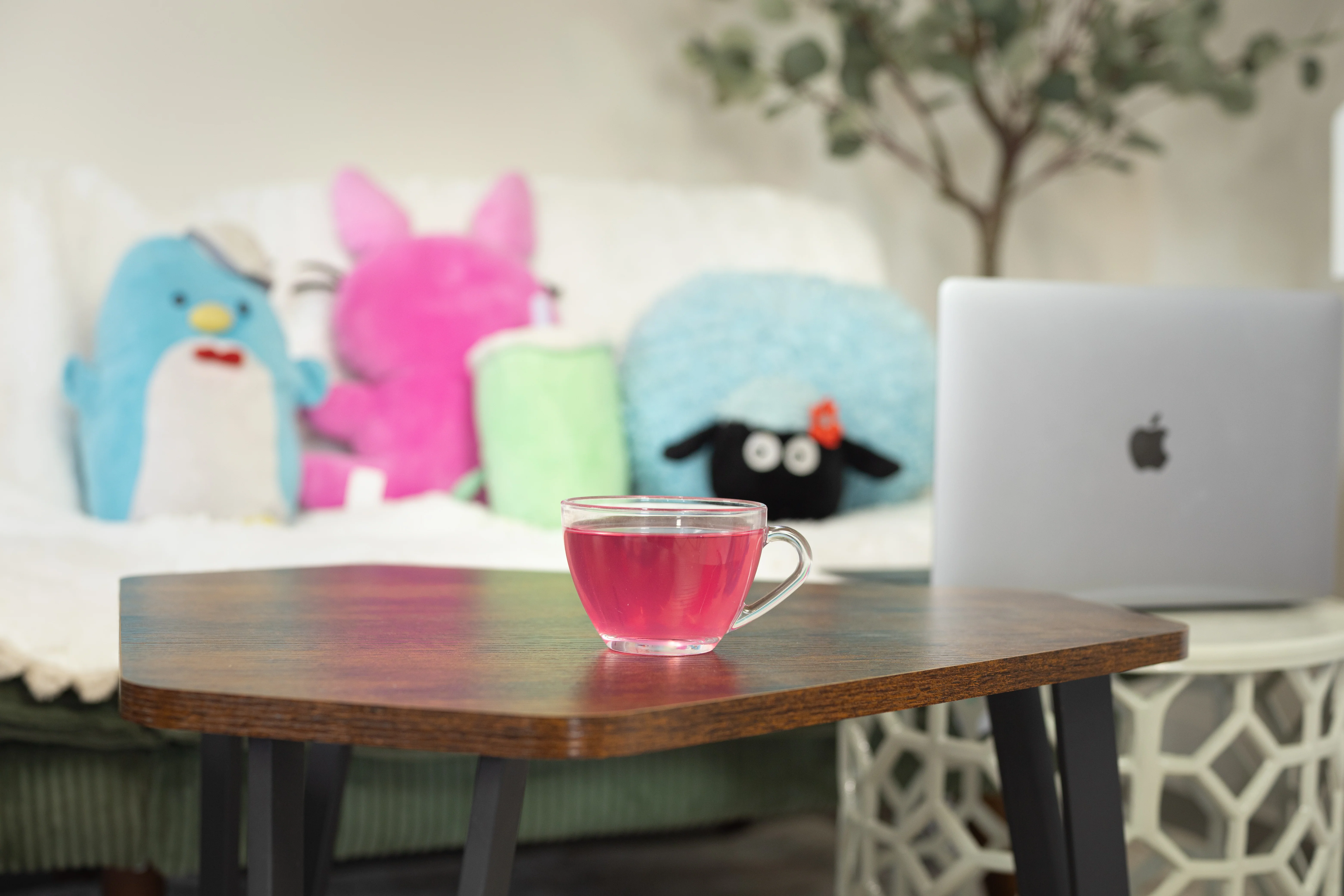 Cotton Candy - Image 3